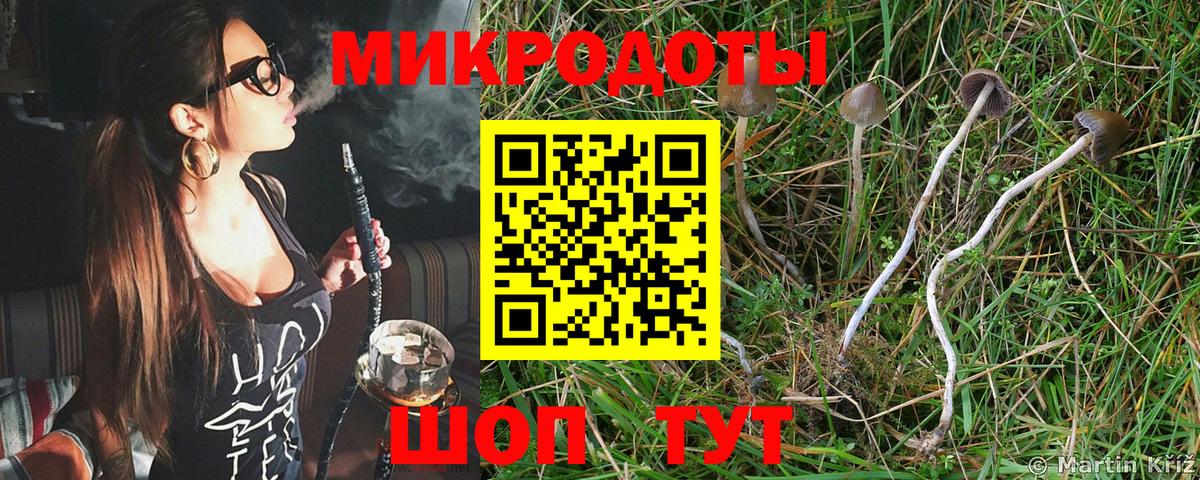 Галлюциногенные грибы ЛСД  Галлюциногенные грибы мухоморы  Сатка  Вход с VPN 